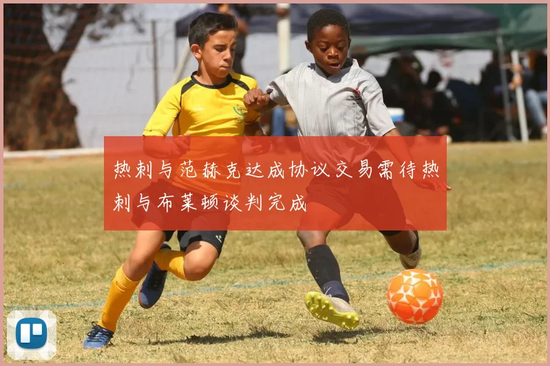 热刺与范赫克达成协议交易需待热刺与布莱顿谈判完成