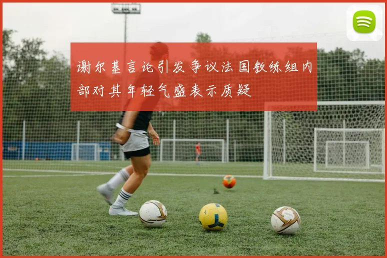 谢尔基言论引发争议法国教练组内部对其年轻气盛表示质疑
